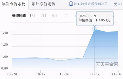 如何查公司股票基金净值