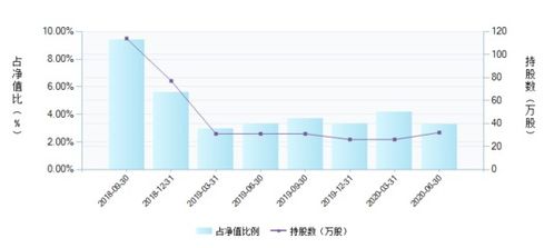 如何查公司股票基金净值