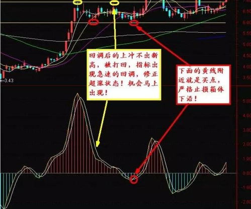 早上如何选择好股票交易