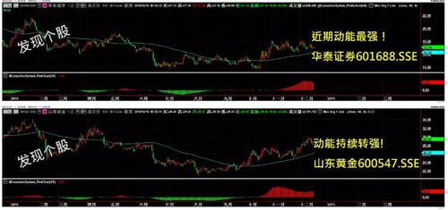 华泰证券怎么查看账号