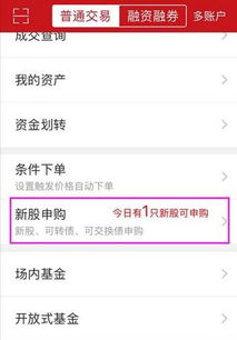 微证券怎么申购新债