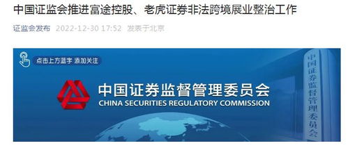 老虎证券怎么处理