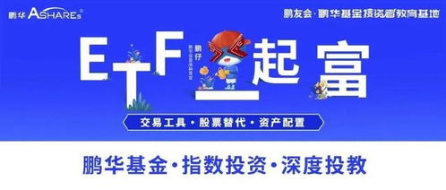 枕姿怎么证券