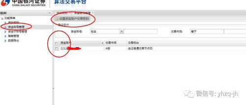 怎么看完整证券账号