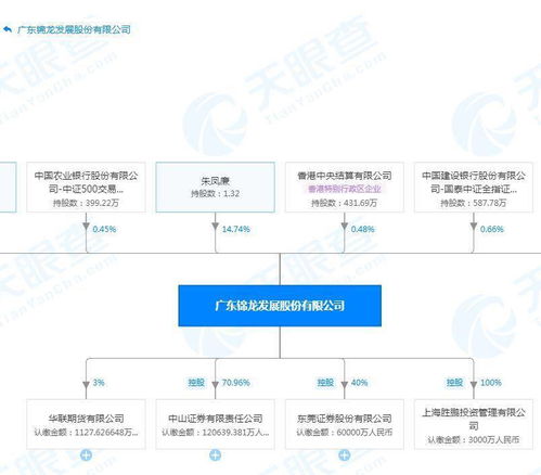 东莞证券怎么查找股票