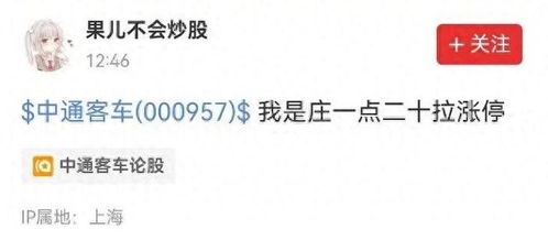 怎么查名下的证券