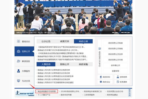 怎么查海南证券