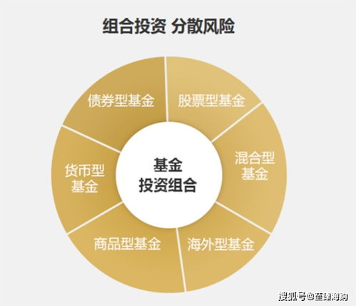 证券组合基金怎么建立