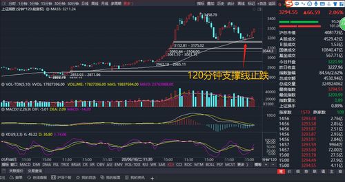 牛市证券股怎么不涨