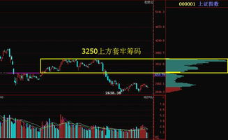 放大证券股票怎么买