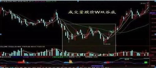 证券怎么选股