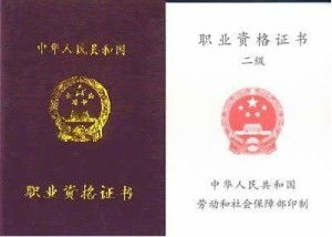 证券从业资格怎么填写