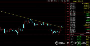 长城证券怎么查股票