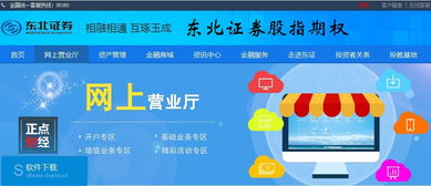 东北证券怎么玩