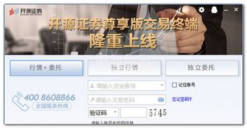 证券软件怎么多开页面