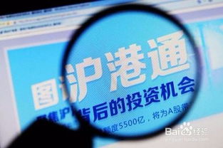 怎么在证券交易所买瑞思