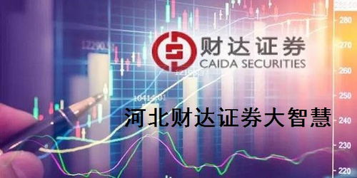 河北财大证券公司怎么样