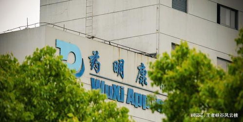 光大证券神州数码怎么样
