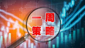 中信证券怎么看大资金