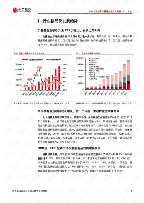 中信证券基本概述怎么写