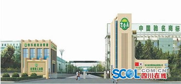 眉山证券怎么样