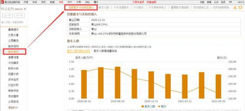 电脑股票中如何查股票