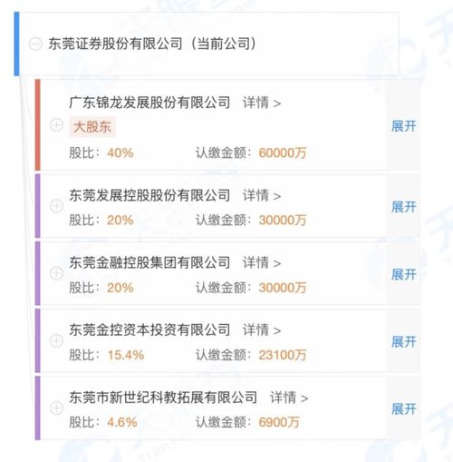 东莞证券怎么查询