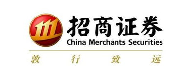 招商证券 字体怎么变大