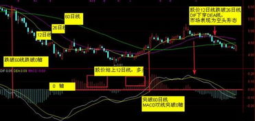 如何选macd股票