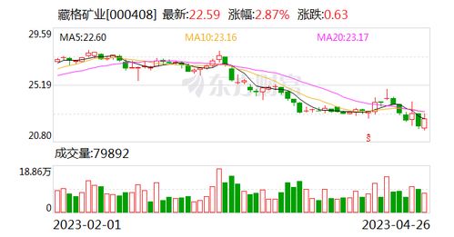 基金扎堆的股票如何买入 基金扎堆的股票如何买入