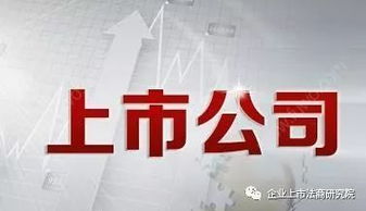 证券投资怎么开展