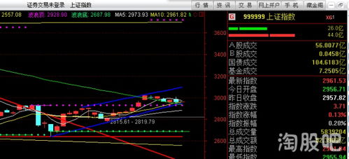 股票重仓如何操作 股票重仓如何操作