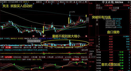 股票如何提升认知