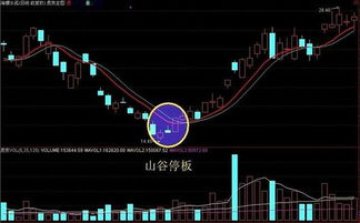 如何选择停更的股票