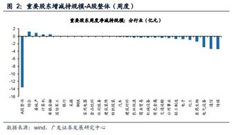 如何新发股票