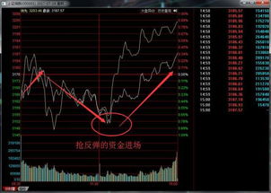 如何抄底反弹股票 如何抄底反弹股票