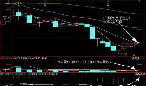 如何知道股票的涨跌
