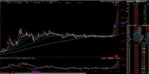网上如何参与股票竞价 网上如何参与股票竞价