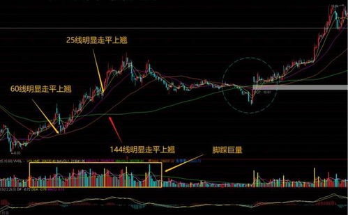 新手如何选购股票