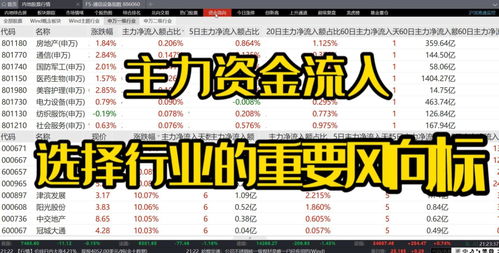 当前如何选股票