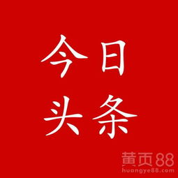 今日头条如何投资股票的 今日头条如何投资股票的