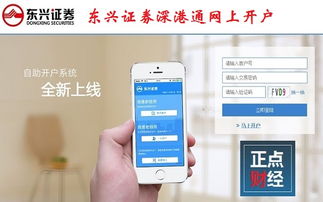 东兴证券怎么查账户