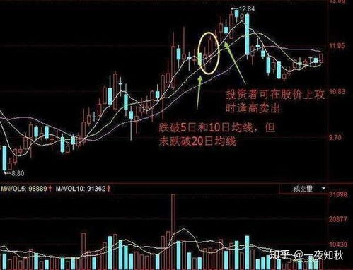 投资卖股票如何盈利呢