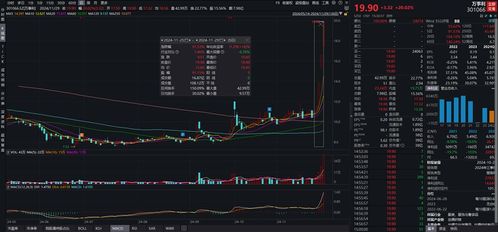 如何看透一个股票的详细