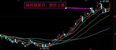 美的股票分红如何 美的股票分红如何