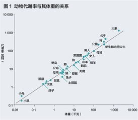 如何看股票斜率和直线