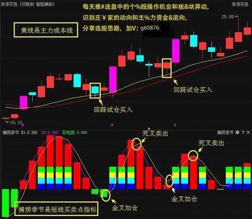 如何分辨市场龙头股票 如何分辨市场龙头股票