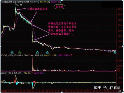 股票排单如何买入股票
