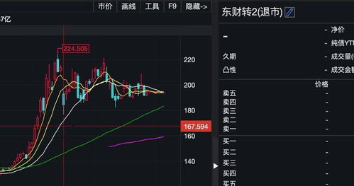 可转债投资如何申购股票 可转债投资如何申购股票