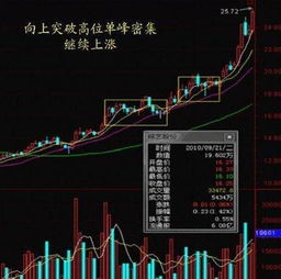 如何选择交易指标股票 如何选择交易指标股票